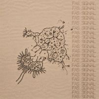 Fas Signal - Fas Signal