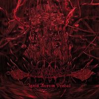 Abusiveness - Ignis Aurum Probat