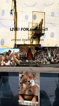 🦊 - No Audience Live At Crewe Station