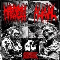 Mariyein - Tomar Hasta Consumir