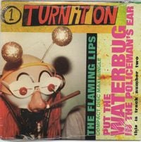 The Flaming Lips - Turn It On