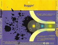 The Flaming Lips - Buggin'