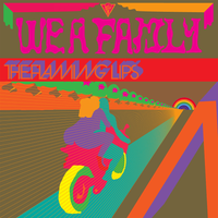 The Flaming Lips - We A Famly