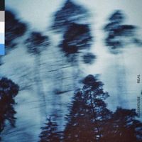 Blisshouse. - Real