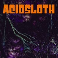 Acidsloth - Harmless Recreation