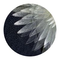 Hibernation - Ambient Re​:​Works 01