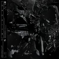 SY/N - Blinded