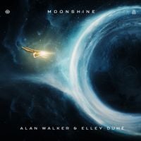 Alan Walker - Moonshine
