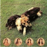 Skin - Ten Songs for Another World