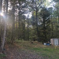 Nogonomas! - Songs 4 Sale