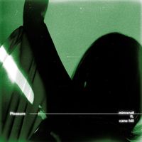 Mirrorcell - Pleasure