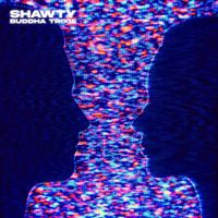 Buddha Trixie - Shawty