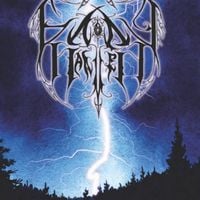 Faerhaaven - In the Shadow of the Unlight