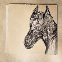 Darling Farm - Darling Farm