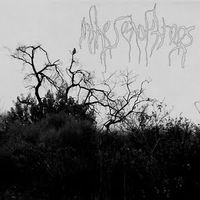 In The Sea of Trees - Demo I