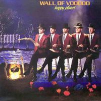 Wall Of Voodoo - Happy Planet