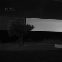 Shuta Hiraki - Not Here, But There