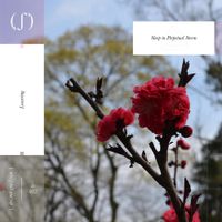 Lowering - Sleep in Perpetual Storm