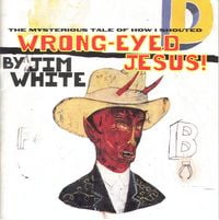 Jim White - The Mysterious Tale of How I Shouted Wrong-Eyed Jesus!