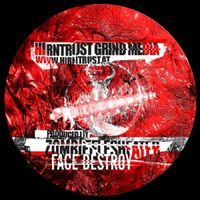 Zombieflesheater - Face Destroy