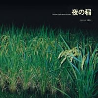 工藤礼子 [Reiko Kudo] - Rice Field Riping in the Night