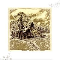 Snowy Hill House - B-Sides
