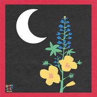 Summer Salt - Reside