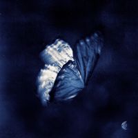 LUAMEL - Starrain