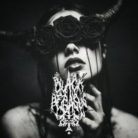 Black Pegasus - Noise Drugs
