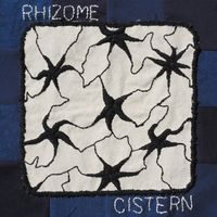cistern - Rhizome