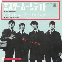 The Beatles - Mr Moonlight
