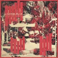 De Carne E Flor - Em Teus Olhos Vejo Fendas