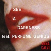 Anna Calvi - I See a Darkness