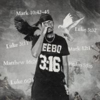 Ceebo - pentecost of living