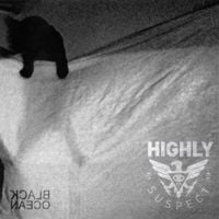Highly Suspect - The Go