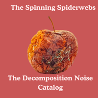The Spinning Spiderwebs - The Decomposition Noise Catalog