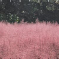 TESTSET - ALL HAZE