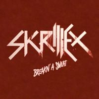 Skrillex - Breakn' A Sweat