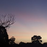 ASam - Pink Blue
