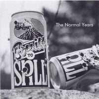 Built to Spill - The Normal Years
