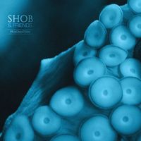 Shob and Friends - Pragmatism