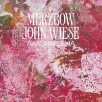 Merzbow - Akashaplexia