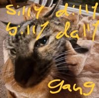 Silly Billy Dilly Dally Gang - Silly Billy Dilly Dally Gang