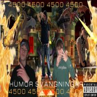 ivanno4500 - Hum&ouml;r Sv&auml;ngningar