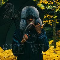 YC - See Why&iquest;