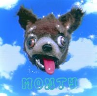 Novo Amor - monty (＾ᴥ＾)