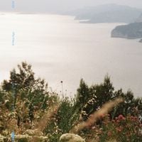 TEED - Piece Of Me