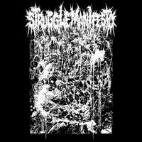 Struggle Manifesto - XV|XXV