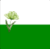 aarida - INFLORESCENCE