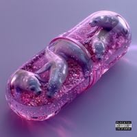 Joey Trap - SEAWORLD